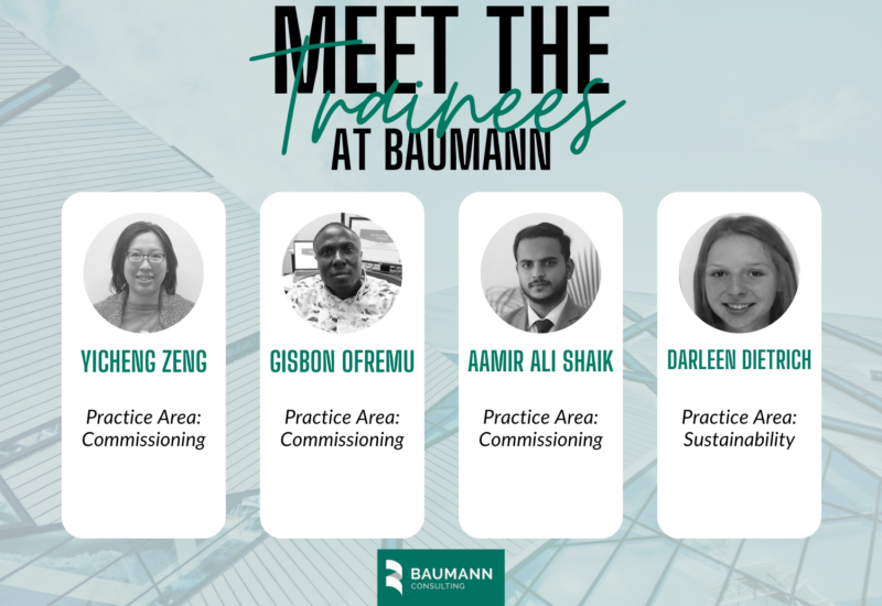 Meet the trainees and interns of Baumann Consulting